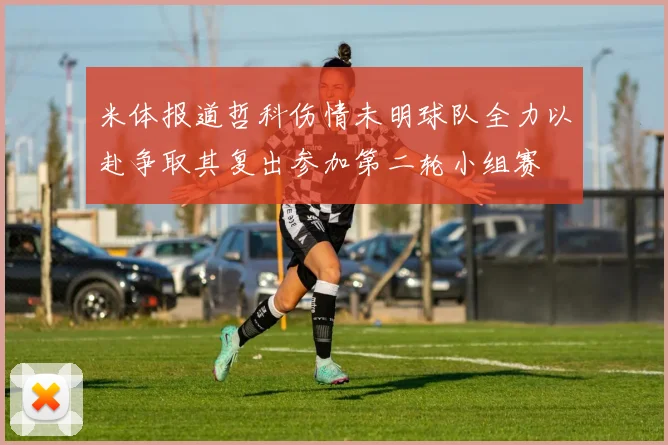 米体报道哲科伤情未明球队全力以赴争取其复出参加第二轮小组赛